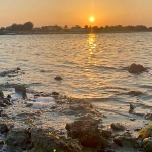 A golden sunset over the waters of Al Shalila Beach, with gentle waves washing over rocky shores, creating a serene and reflective atmosphere.
