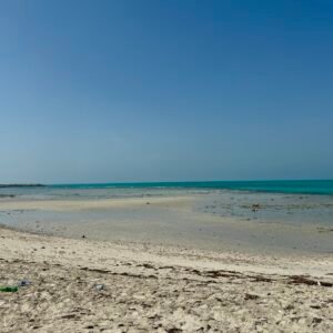 A serene beach with golden sand and turquoise waters at Al Jurf Beach, with a clear blue sky above