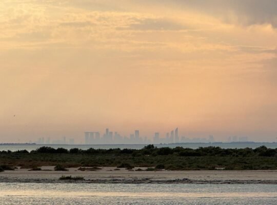 A serene view of Abu Dhabi’s skyline at sunset, seen from a hidden beach with calm waters and lush greenery in the foreground, creating a peaceful and picturesque atmosphere.