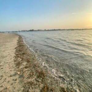 A peaceful shoreline at Al Shalila Hidden Beach, Abu Dhabi, with gentle waves washing over seaweed-covered sand under a golden sunset sky.