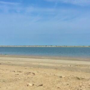 A peaceful day view of Abu Dhabi's Hidden Hameem Beach. It is characterized by gentle sandy shores, calm blue waters, and a clear sky—ideal for a relaxing beach getaway.