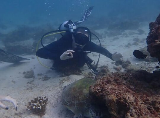 scuba-diving-uae-underwater-turtle.
