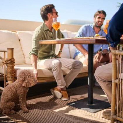pet-friendly-cafe-made-by-ZU-students-Abu-Dhabi