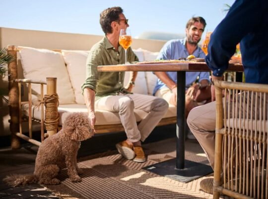 pet-friendly-cafe-made-by-ZU-students-Abu-Dhabi