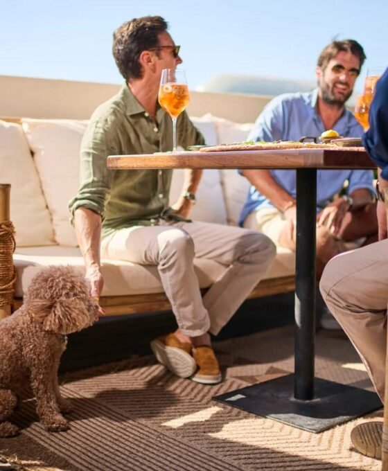 pet-friendly-cafe-made-by-ZU-students-Abu-Dhabi