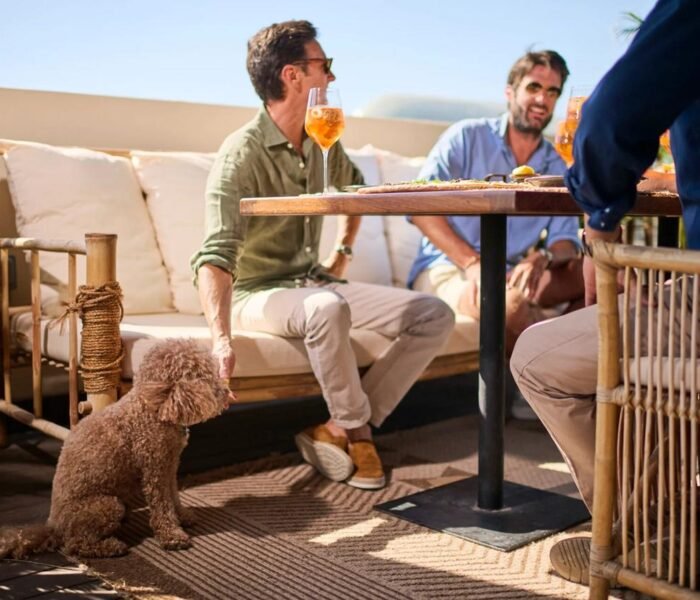 pet-friendly-cafe-made-by-ZU-students-Abu-Dhabi