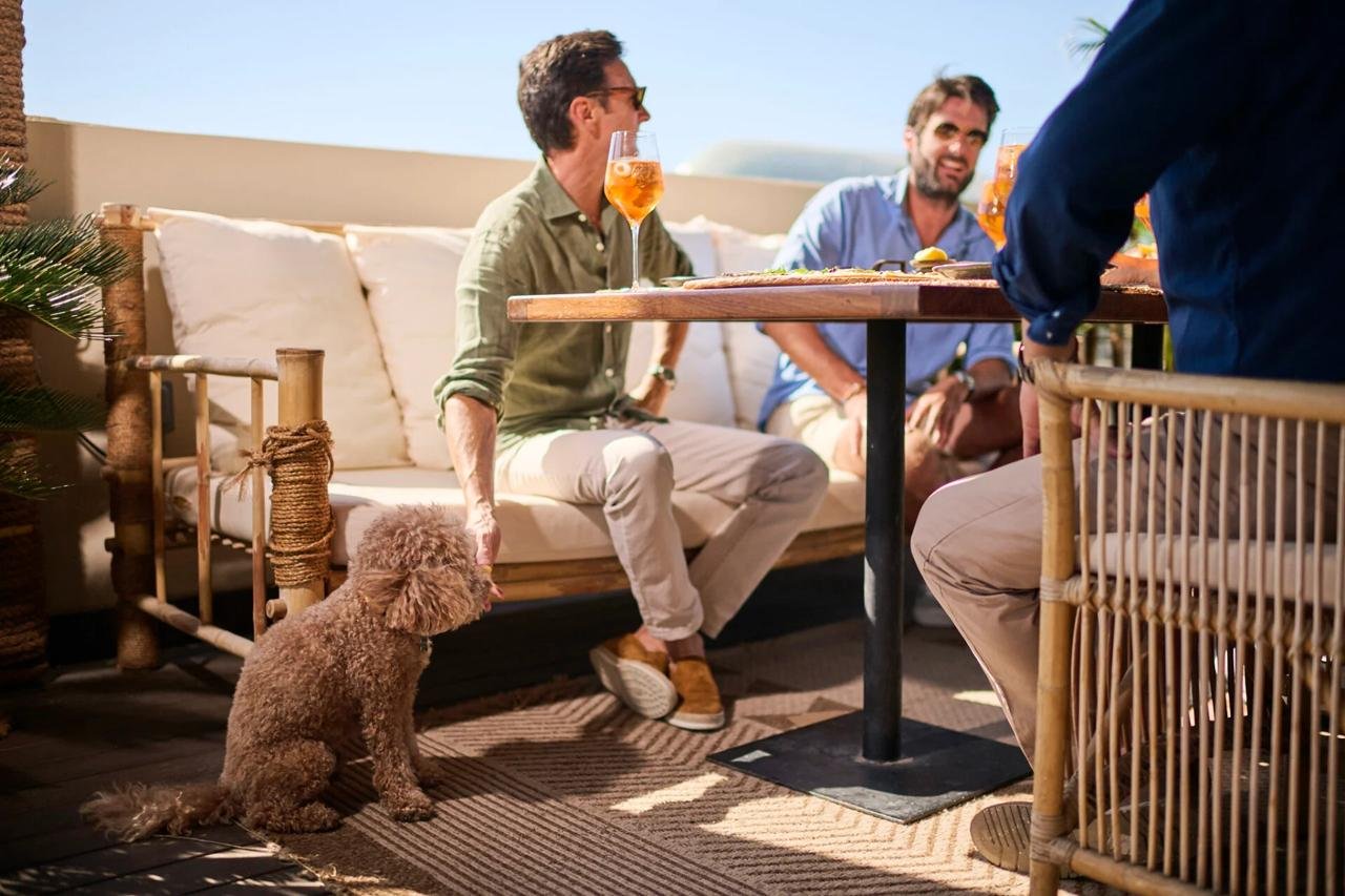pet-friendly-cafe-made-by-ZU-students-Abu-Dhabi