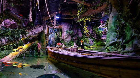 A wooden boat inside a tropical rainforest-themed aquarium exhibit Indoor activities exploring marine Abu Dhabi