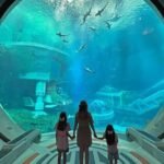 Family viewing sharks and marine life through a giant aquarium window. indoor activities