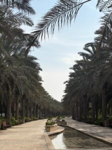 Umm-Al-Emarat-Park-Abu-Dhabi-palm-walkway
